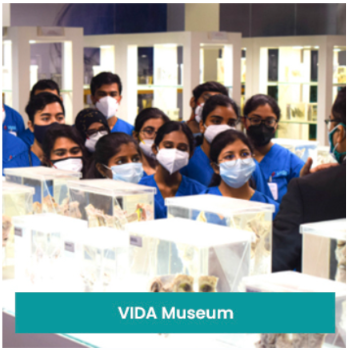 VIDA Museum